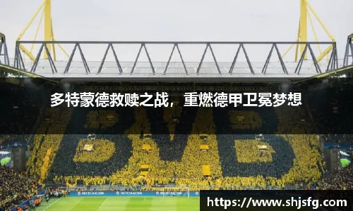 雷火·竞技电竞网站
